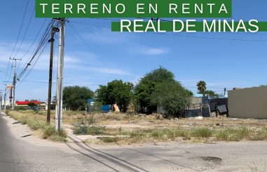 Real de Minas 2
